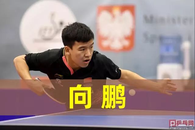 体风暴中 体风暴中